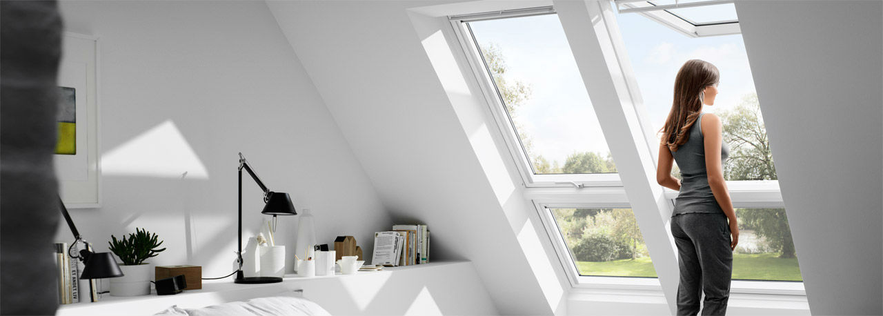 Velux baie vitree